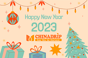 Aviso de feriado de Ano Novo Chinês Chinadrip.(2023)
        