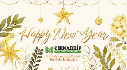 Aviso de feriado de Ano Novo Chinês Chinadrip.(2024)
        