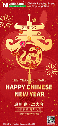  Aviso de feriado de Ano Novo Chinês (2025) ChinAdrip (2025)